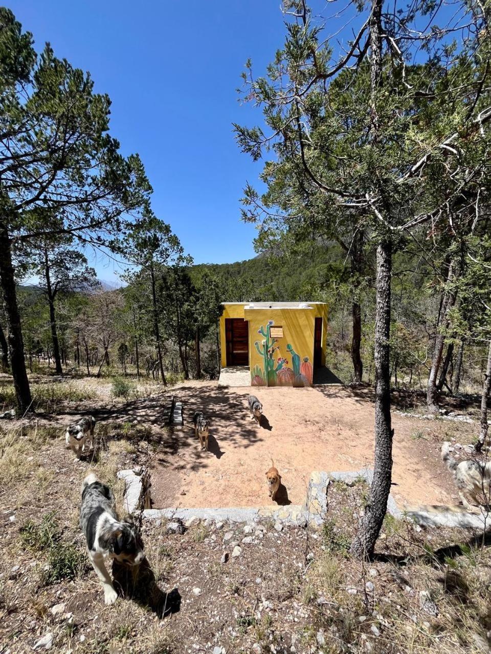 Camping En La Sierra De Arteaga Los Lirios Bagian luar foto