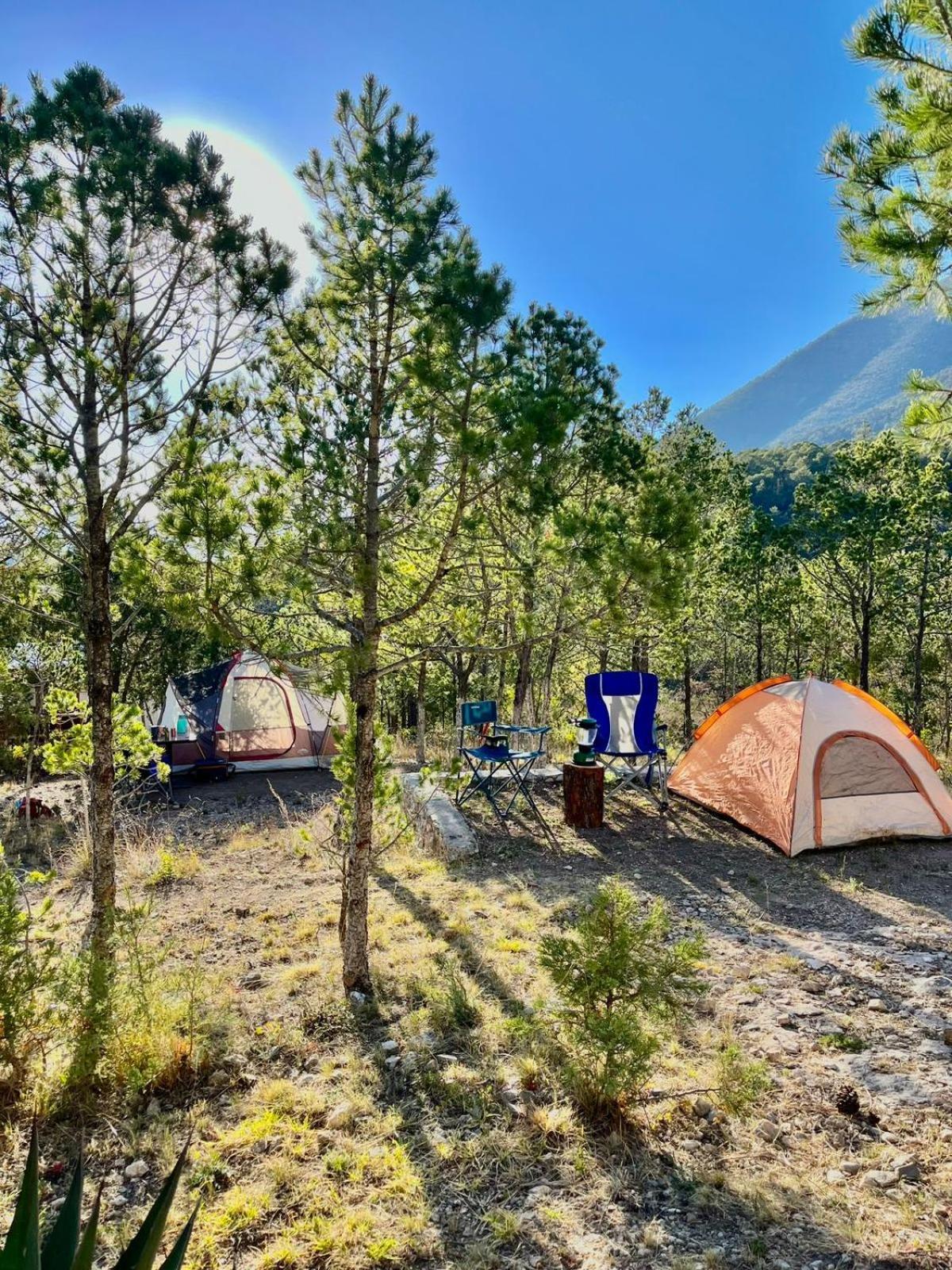 Camping En La Sierra De Arteaga Los Lirios Bagian luar foto